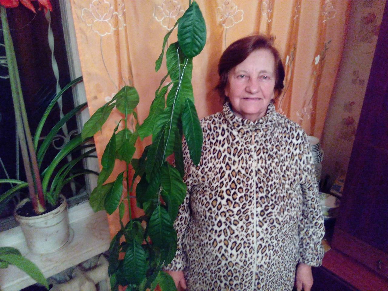 Zinaida Sheyko
