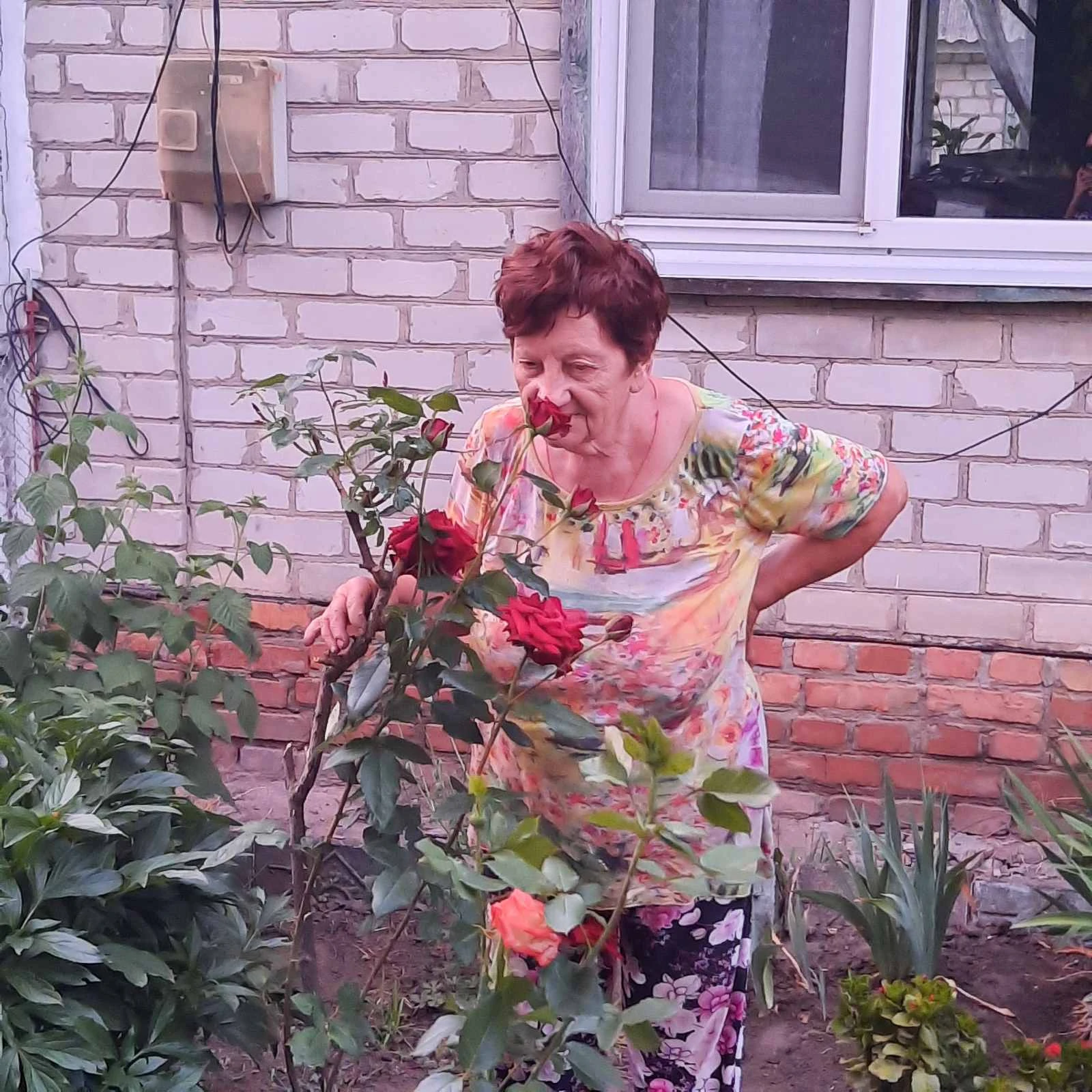 Zinaida Sheyko